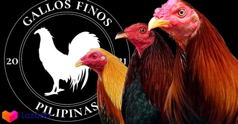 The Secret to Gamefowl Pointing: Steroid Use and .